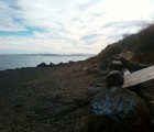 albany-bulb-38