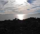 albany-bulb-39