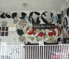 2011-july-olayami-dabls-mirror-house-detroit-10-452