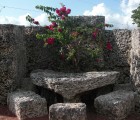 coral-castle-7