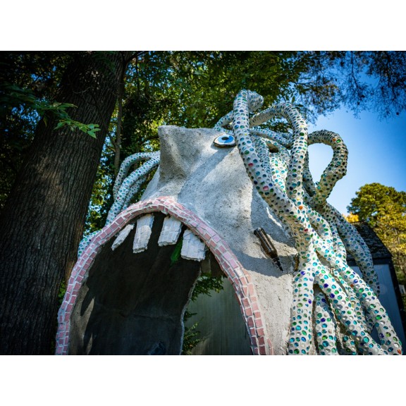 B00093003FR1729692482MouthArch