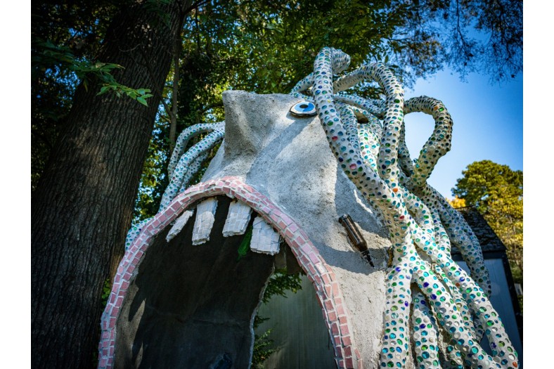B00093003FR1729692482MouthArch