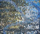 B00093383FR1729693976MosaicWall