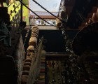 IMG 3743