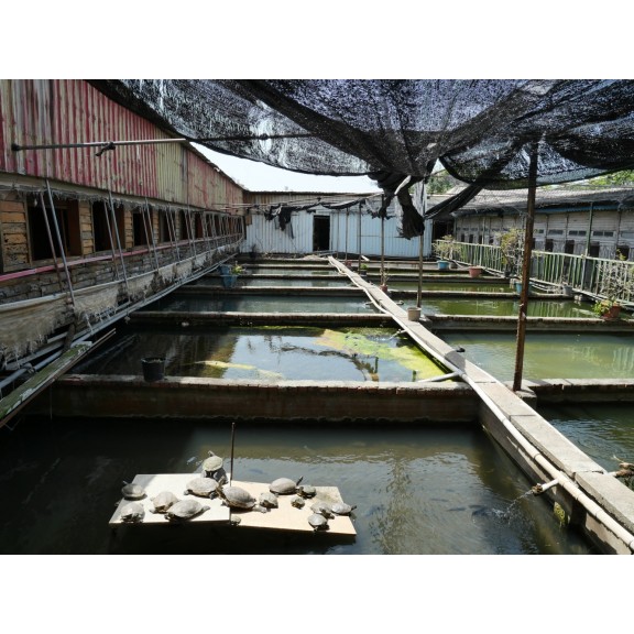 P1153389