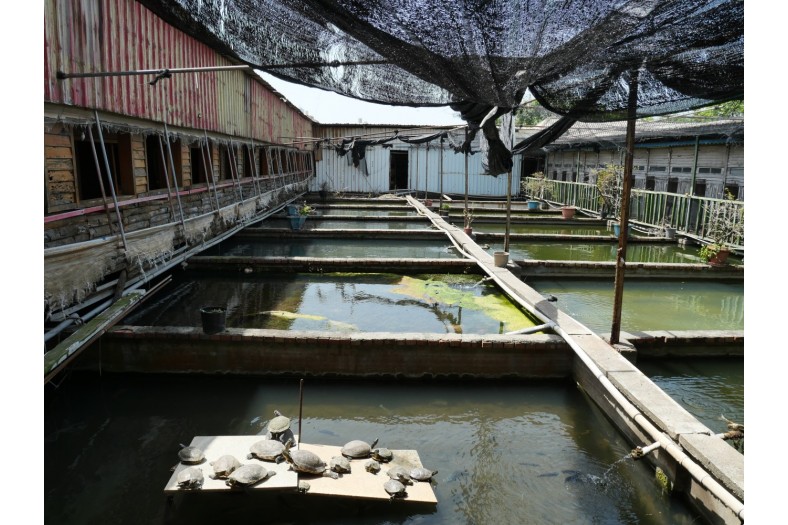 P1153389