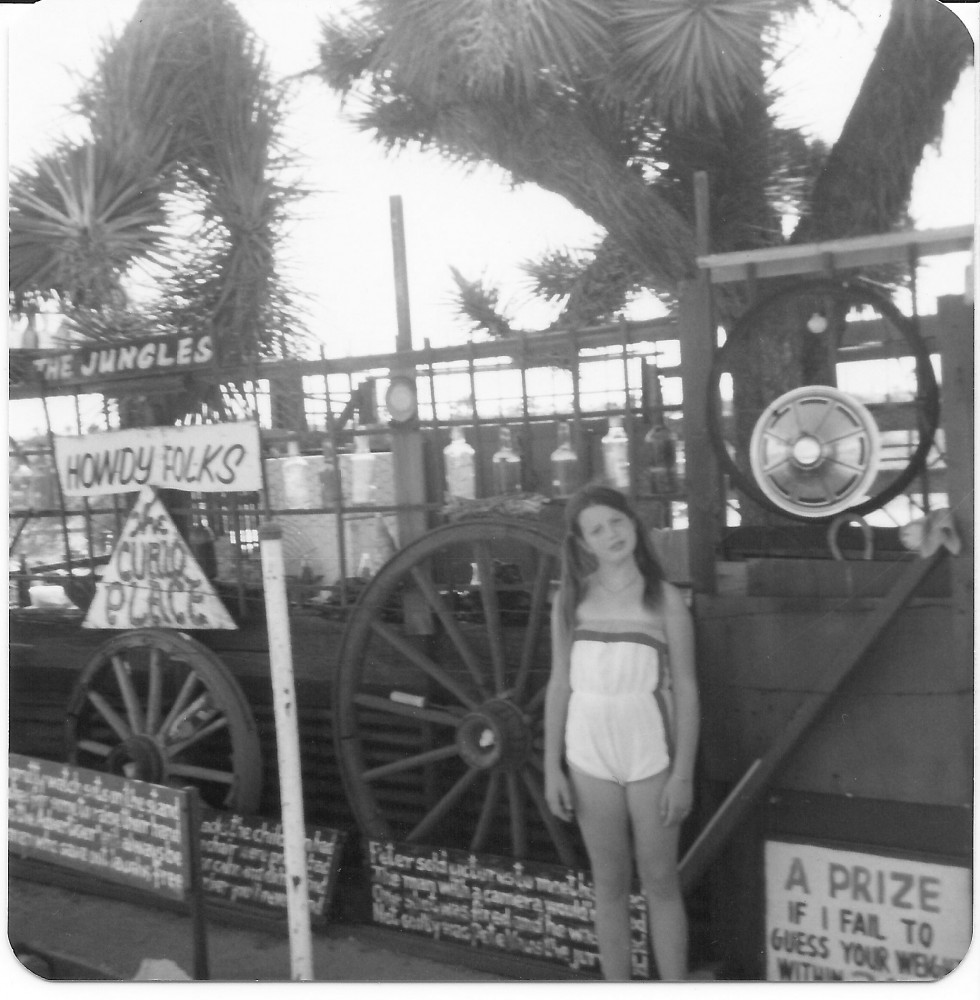 tan in roadside attraction